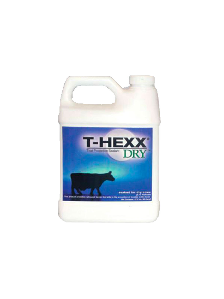 T-Hexx Dry naturel